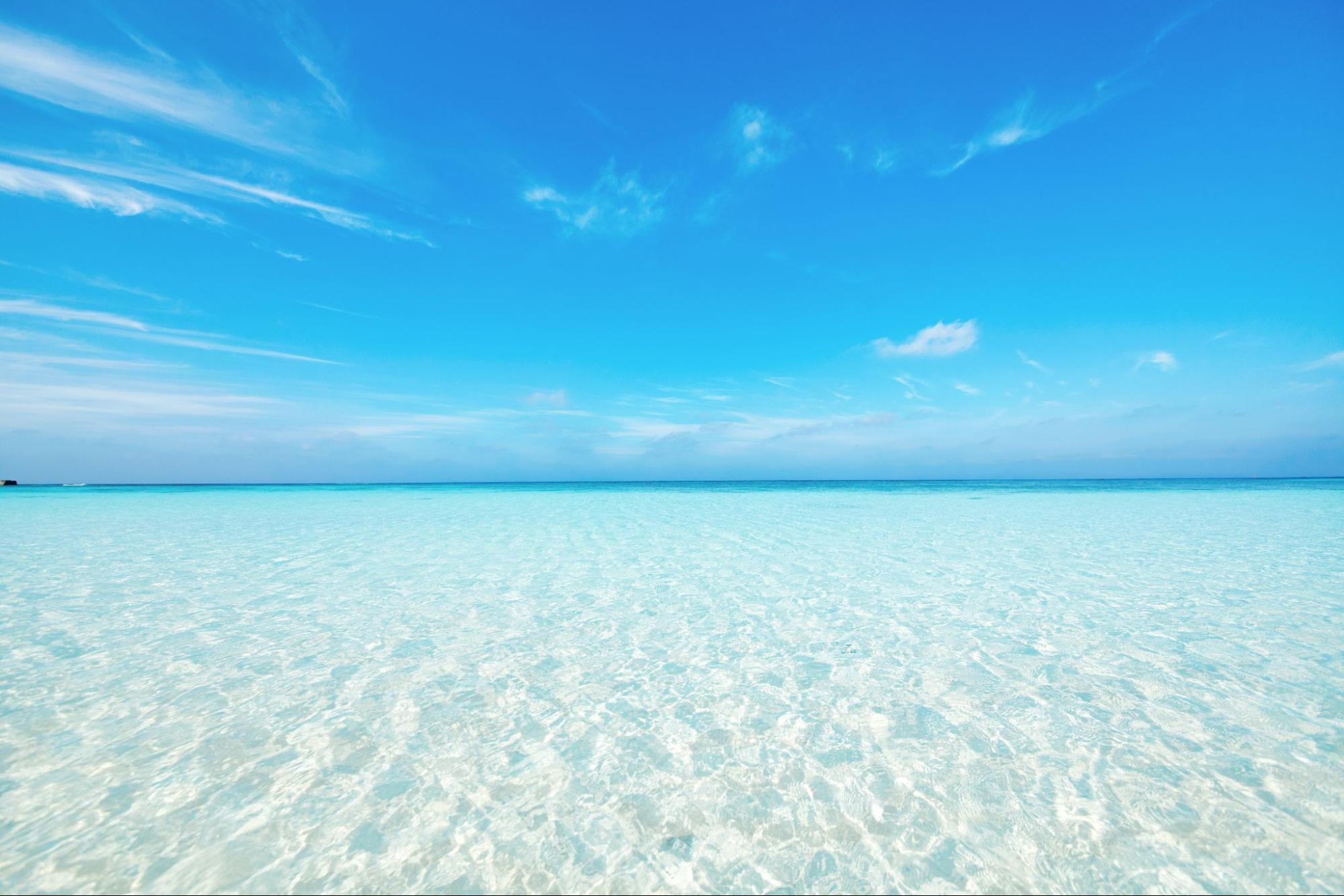 海
