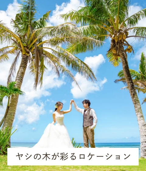 ヤシの木が彩るロケーション