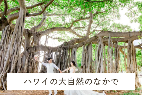 ハワイの大自然のなかで