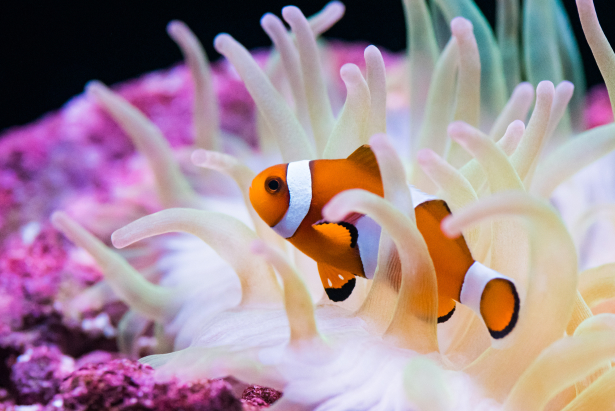 魅力3 イメージ画像