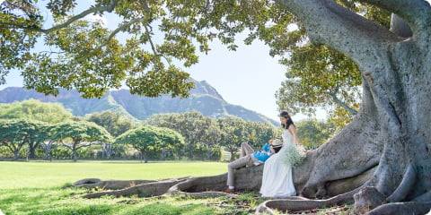 スライダー画像