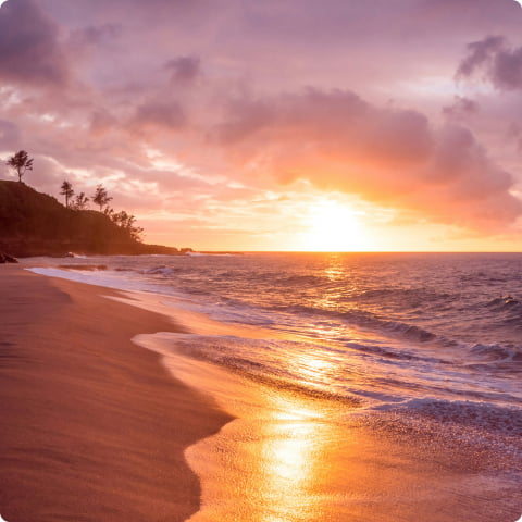 スライダー画像