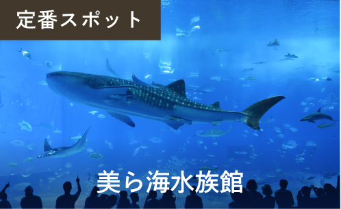 美ら海水族館