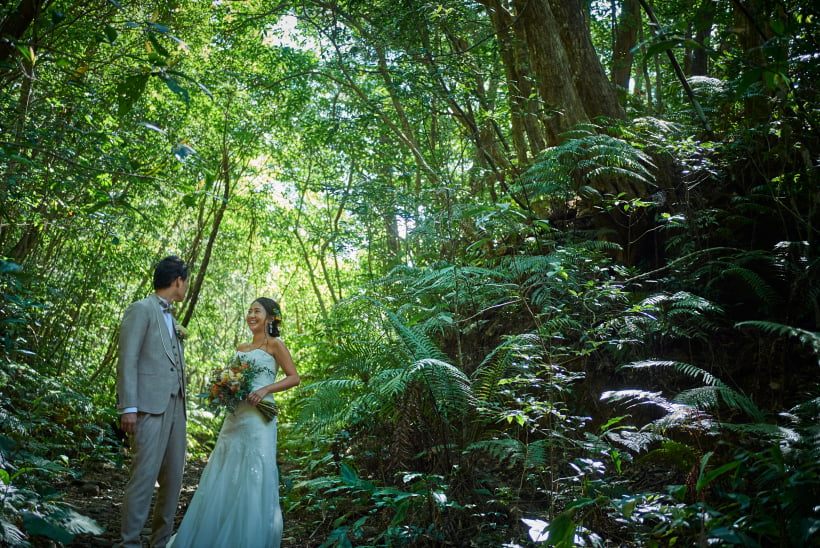 魅力2 イメージ画像